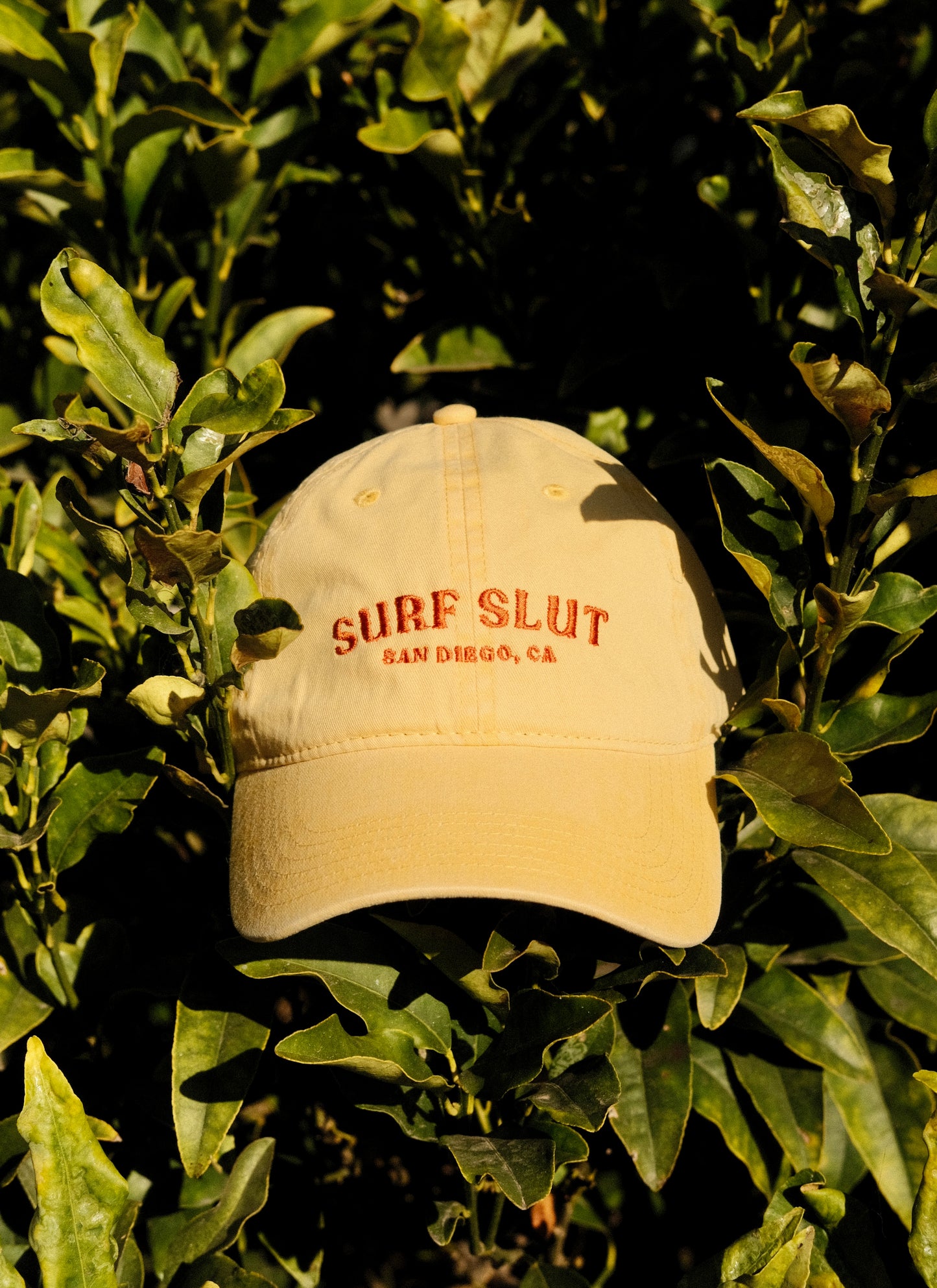 SURF SLUT Dad Hats